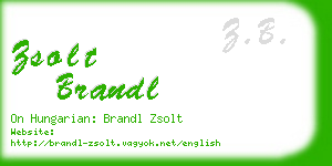 zsolt brandl business card